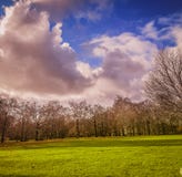 Marche par la route avec des arbres photographie stock Marche par la route avec des arbres photographie stock