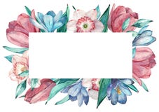 Marco de las flores de la primavera en estilo de la acuarela con el fondo blanco Jacinto, tulipán, narciso libre illustration Marco de las flores de la primavera en estilo de la acuarela con el fondo blanco Jacinto, tulipán, narciso libre illustration