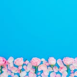 Marco floral de rosas y de pétalos rosados en fondo azul Endecha plana, visión superior Día de fiesta del día de la mujer fotos de archivo Marco floral de rosas y de pétalos rosados en fondo azul Endecha plana, visión superior Día de fiesta del día de la mujer fotos de archivo