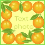 Marco original para las fotos y el texto Las naranjas jugosas crean un humor festivo Un regalo perfecto para los ni?os y los adul libre illustration Marco original para las fotos y el texto Las naranjas jugosas crean un humor festivo Un regalo perfecto para los ni?os y los adul libre illustration