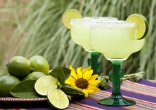 Margarita Cocktails Outdoors 2