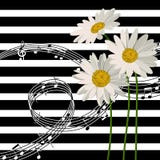 Marguerites avec des notes de musique Photos stock Marguerites avec des notes de musique Photos stock