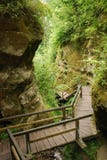 Marienschlucht Ravine In Summer Stock Images Marienschlucht Ravine In Summer Stock Images