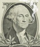Marijuana legalizada George Washington com junção foto de stock royalty free Marijuana legalizada George Washington com junção foto de stock royalty free