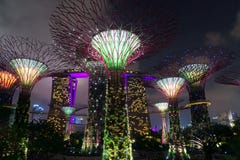 Marina Bay, Singapore - August 11, 2012 - Supertrees in Gardens by the Bay at Night