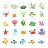 Marine animals, fishes collection and underwater plants. Aqua wild fauna. Vector illustration vector illustration Marine animals, fishes collection and underwater plants. Aqua wild fauna. Vector illustration vector illustration