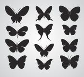 Mariposa libre illustration Mariposa libre illustration