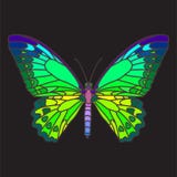 Mariposa colorida del mosaico ilustración del vector Mariposa colorida del mosaico ilustración del vector