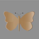 Mariposa ilustración del vector Mariposa ilustración del vector