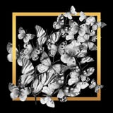 Mariposa enmarcada, ejemplo de la acuarela stock de ilustración Mariposa enmarcada, ejemplo de la acuarela stock de ilustración