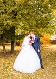 Marié et jeune mariée en parc d'automne Image stock Marié et jeune mariée en parc d'automne Image stock