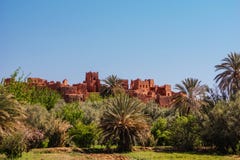 Marocco - palmträd i Quarzazate arkivbilder Marocco - palmträd i Quarzazate arkivbilder