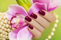 Beautiful Manicure And Pedicure Stock Photo - Image: 39436238