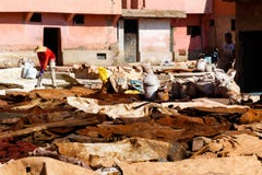 Marrakesh, Marocco Conceria e pelli animali o bugia del cuoio sulla terra nel Medina fotografia stock Marrakesh, Marocco Conceria e pelli animali o bugia del cuoio sulla terra nel Medina fotografia stock