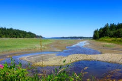 Marrowstoneeiland Olympisch schiereiland De Staat van Washington stock afbeeldingen Marrowstoneeiland Olympisch schiereiland De Staat van Washington stock afbeeldingen
