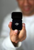Marry Me Royalty Free Stock Photos Marry Me Royalty Free Stock Photos