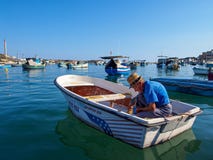 Marsaxlokk, Μάλτα: Στις 8 Οκτωβρίου: Ο μη αναγνωρισμένος ηληκιωμένος προετοιμάζει τη βάρκα ψαράδων στις 8 Οκτωβρίου 2014 σε Marsa στοκ φωτογραφία Marsaxlokk, Μάλτα: Στις 8 Οκτωβρίου: Ο μη αναγνωρισμένος ηληκιωμένος προετοιμάζει τη βάρκα ψαράδων στις 8 Οκτωβρίου 2014 σε Marsa στοκ φωτογραφία