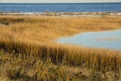 Marsh grasses at sunset in fall at Milford Point, Connecticut. royalty free stock images Marsh grasses at sunset in fall at Milford Point, Connecticut. royalty free stock images