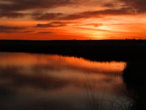 Marsh Sunrise Royalty Free Stock Photo Marsh Sunrise Royalty Free Stock Photo