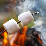 Marshmallow σε ένα ραβδί στοκ εικόνες Marshmallow σε ένα ραβδί στοκ εικόνες