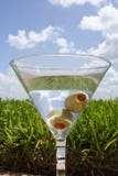 Martini On The Lawn Royalty Free Stock Photos