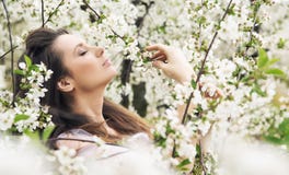 Marvelous brunette relaxing in the ochard stock photography Marvelous brunette relaxing in the ochard stock photography