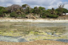 Marée basse sur la plage de Diani, la côte de l'Océan Indien kenya image stock Marée basse sur la plage de Diani, la côte de l'Océan Indien kenya image stock