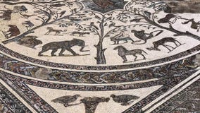Masaic van de Roman oude ruïnes van de Volubilis-stad in Unesco, Marokko stock footage Masaic van de Roman oude ruïnes van de Volubilis-stad in Unesco, Marokko stock footage