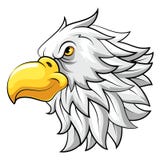 Mascot Head of an hawk royalty free illustration Mascot Head of an hawk royalty free illustration