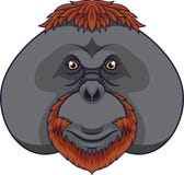 Mascota principal del orangután de la historieta ilustración del vector Mascota principal del orangután de la historieta ilustración del vector