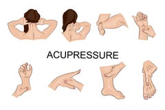 Massage de point Fuselage parts illustration de vecteur Massage de point Fuselage parts illustration de vecteur