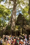 Masse von den Touristen während der Hauptsaison Komplex Ta Prohm nahe Siem Reap, Kambodscha besuchend lizenzfreies stockbild Masse von den Touristen während der Hauptsaison Komplex Ta Prohm nahe Siem Reap, Kambodscha besuchend lizenzfreies stockbild