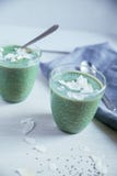 Matcha Chia Pudding royaltyfri bild Matcha Chia Pudding royaltyfri bild