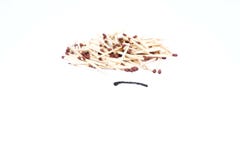 Matchsticks το ένα που καίγεται με matchstick στοκ φωτογραφίες Matchsticks το ένα που καίγεται με matchstick στοκ φωτογραφίες