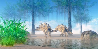 Matin de Stegosaurus illustration stock Matin de Stegosaurus illustration stock