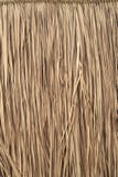 Matt textur av artezanalsugrör royaltyfri foto Matt textur av artezanalsugrör royaltyfri foto