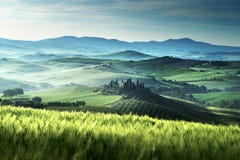 Mattina in anticipo della molla in Toscana, l'Italia Immagini Stock Libere da Diritti Mattina in anticipo della molla in Toscana, l'Italia Immagini Stock Libere da Diritti