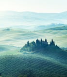 Mattina in anticipo della molla in Toscana, l'Italia Fotografie Stock Libere da Diritti Mattina in anticipo della molla in Toscana, l'Italia Fotografie Stock Libere da Diritti