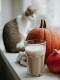 Mattina con la tazza di caffè con la zucca ed il gatto che si siedono sul davanzale immagine stock Mattina con la tazza di caffè con la zucca ed il gatto che si siedono sul davanzale immagine stock