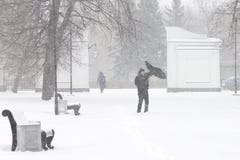 Mau tempo em uma cidade: uma queda de neve pesada e um blizzard no inverno foto de stock Mau tempo em uma cidade: uma queda de neve pesada e um blizzard no inverno foto de stock