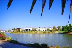 Mawson Lakes Palm Stock Images Mawson Lakes Palm Stock Images