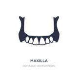 maxilla icon on white background. Simple element illustration from Dentist concept stock illustration maxilla icon on white background. Simple element illustration from Dentist concept stock illustration