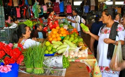 Mayan Markt van het Fruit, Yucatan, Mexico stock fotografie Mayan Markt van het Fruit, Yucatan, Mexico stock fotografie