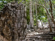 Mayan stela in de Mexicaanse wildernis met het hiëroglyfische schrijven in C royalty-vrije stock afbeeldingen Mayan stela in de Mexicaanse wildernis met het hiëroglyfische schrijven in C royalty-vrije stock afbeeldingen