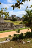 Mayan Tempel in Tulum, Mexico stock afbeelding Mayan Tempel in Tulum, Mexico stock afbeelding