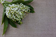 Mazzo dei fiori per le congratulazioni fotografie stock Mazzo dei fiori per le congratulazioni fotografie stock