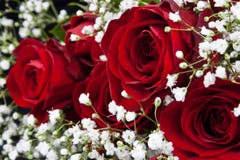 Mazzo delle rose rosse immagini stock Mazzo delle rose rosse immagini stock