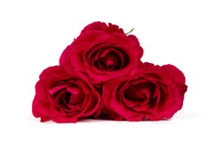 Mazzo di rose rosse fotografie stock libere da diritti Mazzo di rose rosse fotografie stock libere da diritti