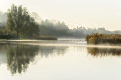 Mañana brumosa del otoño con reflexiones en el agua Imágenes de archivo libres de regalías Mañana brumosa del otoño con reflexiones en el agua Imágenes de archivo libres de regalías