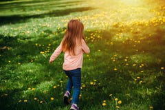 Mała dziewczynka bieg wzdłuż zielonego gazonu z żółtymi dandelions, tylny widok zdjęcie stock Mała dziewczynka bieg wzdłuż zielonego gazonu z żółtymi dandelions, tylny widok zdjęcie stock